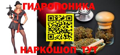 прущие грибы Новокубанск