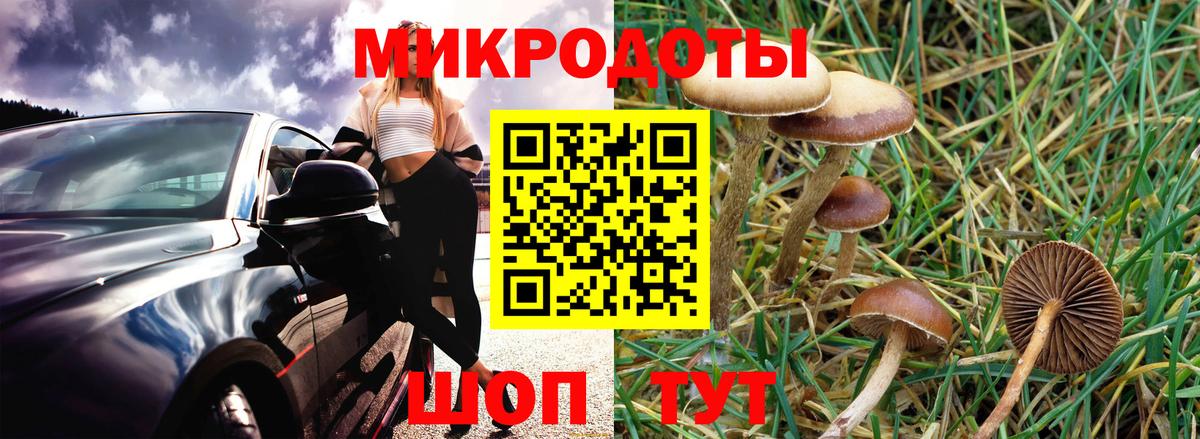 Галлюциногенные грибы мицелий  Вход с VPN  Саратов 